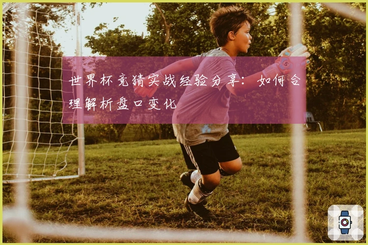 世界杯竞猜实战经验分享：如何合理解析盘口变化