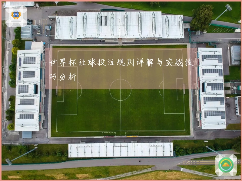 世界杯让球投注规则详解与实战技巧分析