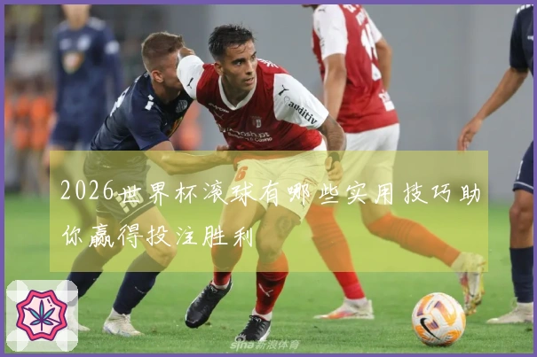 2026世界杯滚球有哪些实用技巧助你赢得投注胜利