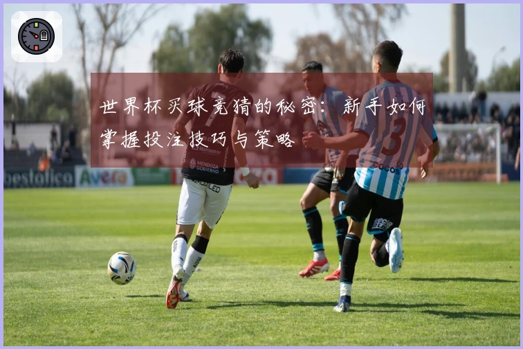 世界杯买球竞猜的秘密：新手如何掌握投注技巧与策略