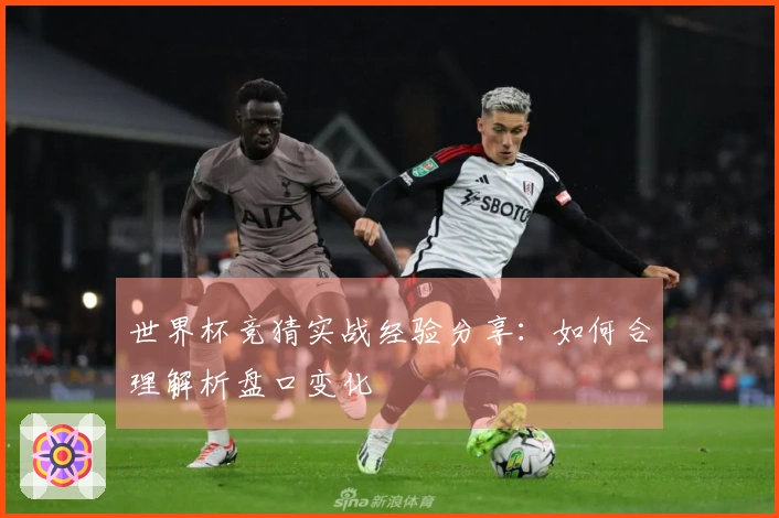 世界杯竞猜实战经验分享：如何合理解析盘口变化